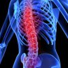 脊髄損傷に対する再生医療のトピックス2件